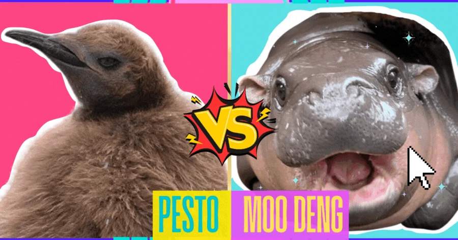 Are You More Pesto Or Moo Deng? ๐ฆ๐ง
